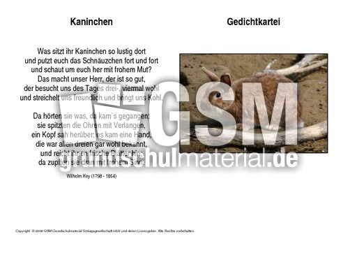 Kaninchen-Hey.pdf